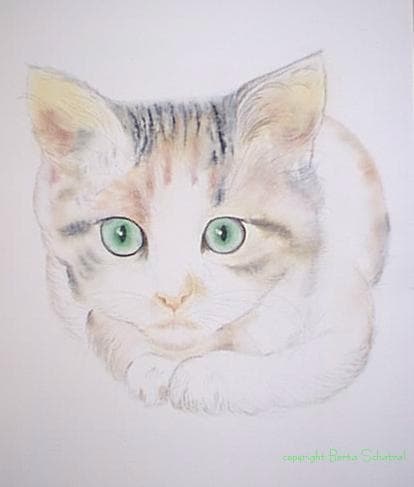 Katze Aquarell