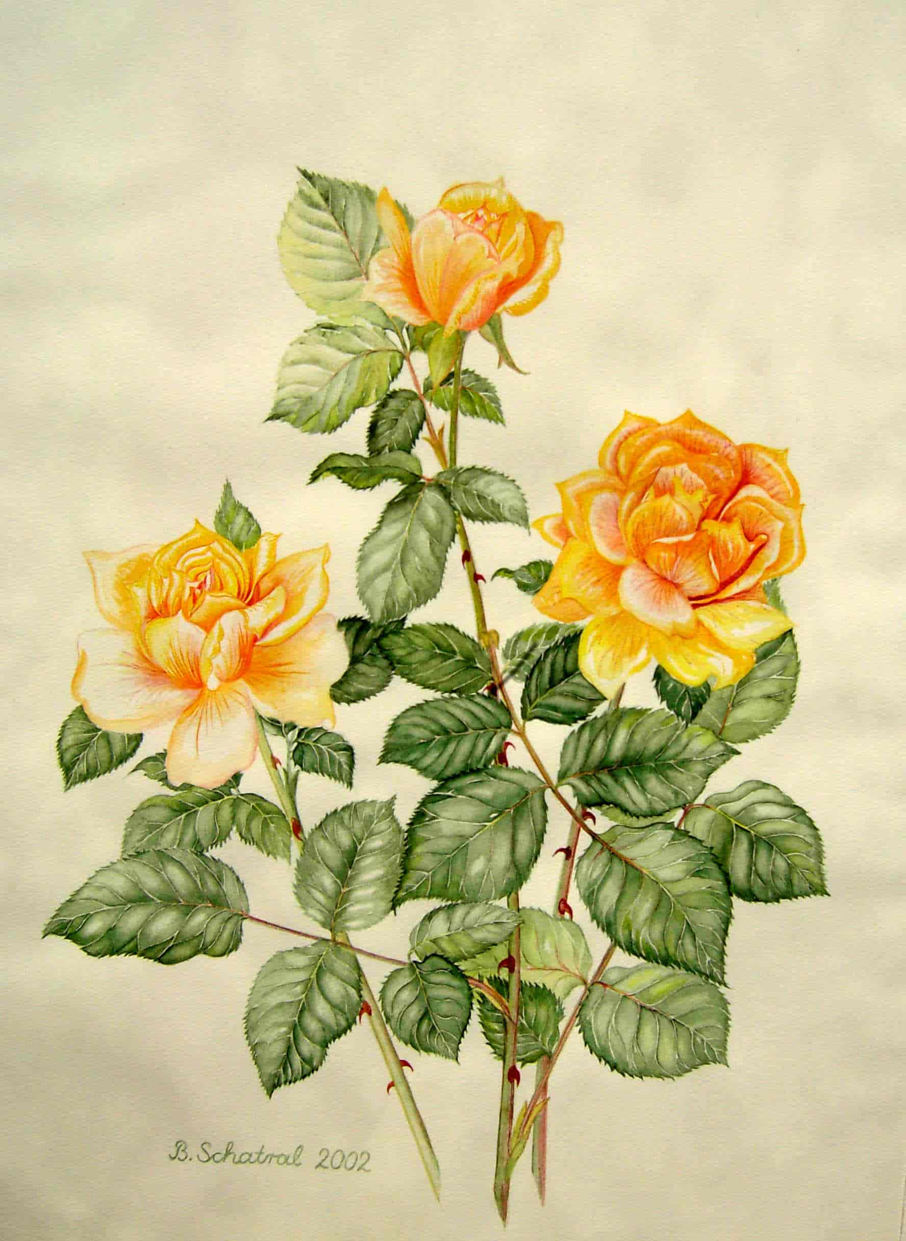 Drei gelbe Rosen